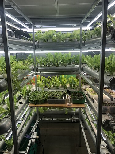 Unidad de cultivo hidropónico con depósito y estructura
