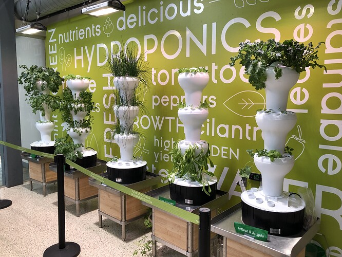 Cultivo hidropónico instalado en una estructura compacta